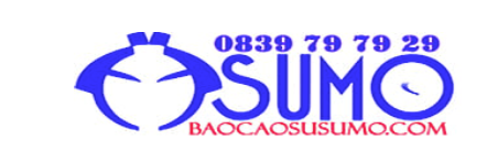 baocaosusumo.com